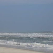 Stacey Zimmermann's photo