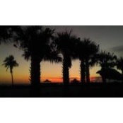 Mary Watson's photo