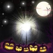 Cindy Morrison's photo