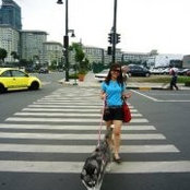Shobe Chiu's photo