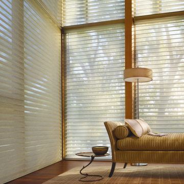 Alustra Silhouette Shadings