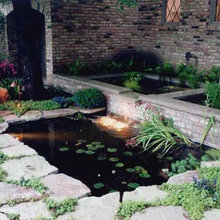 koi ponds