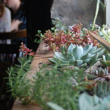 Artifact Coffee Planter Boxes
