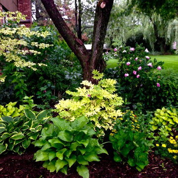 Summer Color in Illinois