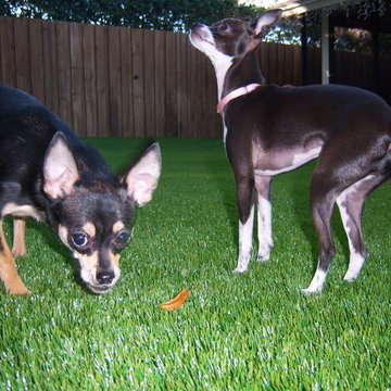 Residential Lawn