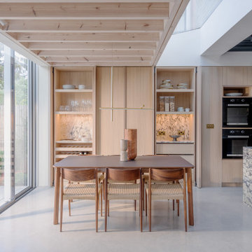 Rees Architects | The Aldersbrook Enclave