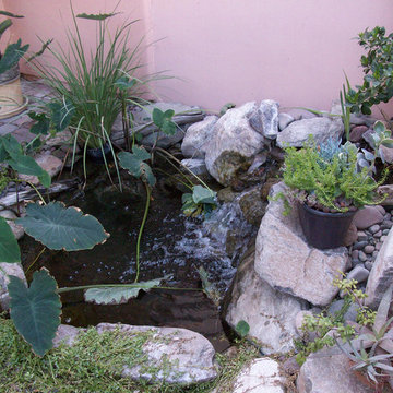 Bru Residence Backyard Ecosystem Pond in Chandler, AZ