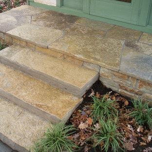 シカゴの小さい片開きドアトランジショナルスタイルのおしゃれな玄関ドア (緑のドア) の写真