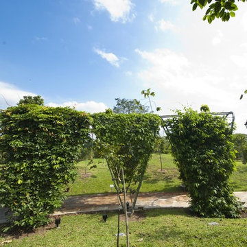 Trellis Garden - Singapore Botanic Gardens