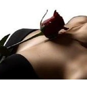 Rosa Roja's photo