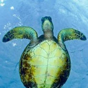Kim Keefer's photo