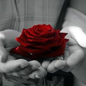 Daphne Stoba's photo