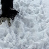 Kathryn Moore's photo