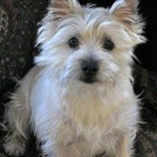 Tracey Evenson's photo