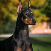 Mike Thomas's photo