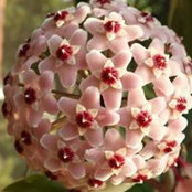 Colleen Danaher's photo
