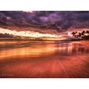 Becky Myers's photo