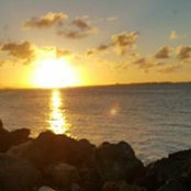 Yolanda Flores's photo