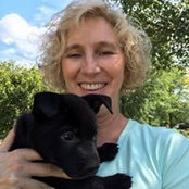 Kim Krause's photo