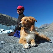 Char Riess's photo