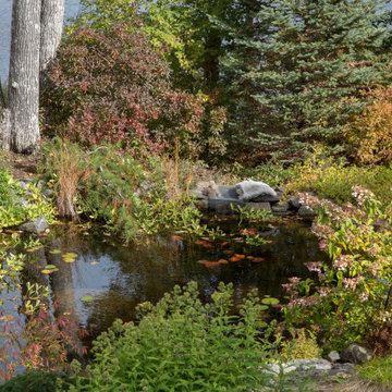 Water Features