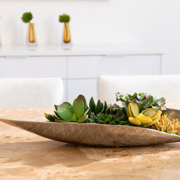 Preston Hollow Modern Minimalist Furnishing