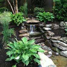 KRISTINE’S YARD