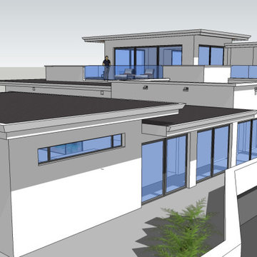 Zero Net Energy (ZNE) Contemporary new home