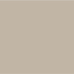 Dulux Warm Neutral - Paint