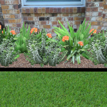 Zone 9 Plantings