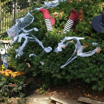Halloween decorations