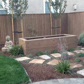 Back Yard for a Young Family