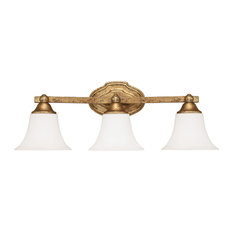 Champagne Color Bathroom Vanity Lighting Houzz Capital Lighting Fixture Company Blakely 3 Light Bathroom Vanity Lights Antique Gold
