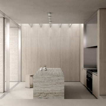 Cemetery House: Warm minimal house renovation and extension, London