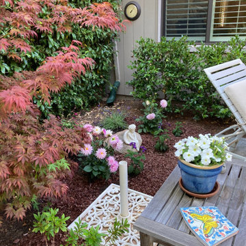 Los Altos | New Small Space Transformed