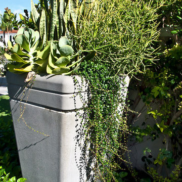 North Ocean Blvd. Palm Beach, Fl. Estate