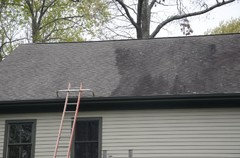 Shingle Roof Cleaning Any Experience With Commercial Sprays Both Before And After Treating The Roof Didn T Lose Any Plants Or Gr I Do Have Gutters Downspouts Gave A Good Hosing Afterwards