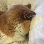 Joan Squires's photo