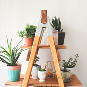 Ashlee Day's photo