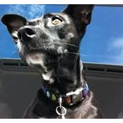 Jodi Heintz's photo