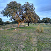 Foto di Fernando Martín Vivas