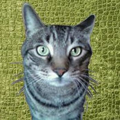 Jacqueline Leser's photo
