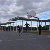 Tim Robertson's photo