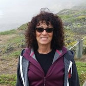 Char Meyer's photo