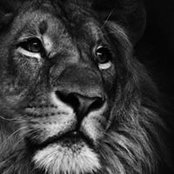 Catalin Zyk's photo