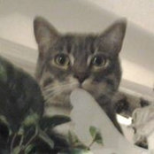 Mar Housley's photo