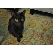 Margaret Wakefield's photo