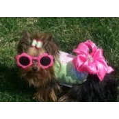 Claudia Guler's photo