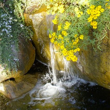 water features