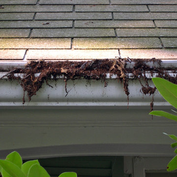 Louver Gutter Guard